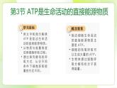 沪科技版(2020)高中生物 必修一 4.3 ATP是生命活动的直接能源物质（第1课时） 课件