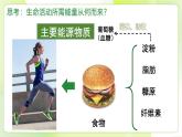 沪科技版(2020)高中生物 必修一 4.3 ATP是生命活动的直接能源物质（第1课时） 课件