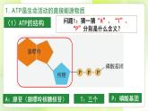 沪科技版(2020)高中生物 必修一 4.3 ATP是生命活动的直接能源物质（第1课时） 课件