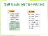沪科技版(2020)高中生物 必修一 4.3 细胞通过分解有机分子获取能量（第2课时） 课件