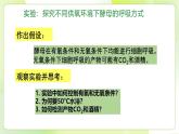 沪科技版(2020)高中生物 必修一 4.3 细胞通过分解有机分子获取能量（第2课时） 课件