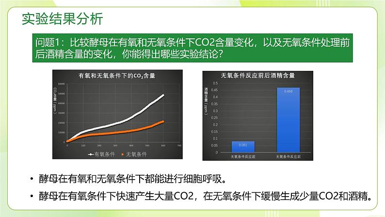 沪科技版(2020)高中生物 必修一 4.3 细胞通过分解有机分子获取能量（第2课时） 课件第4页