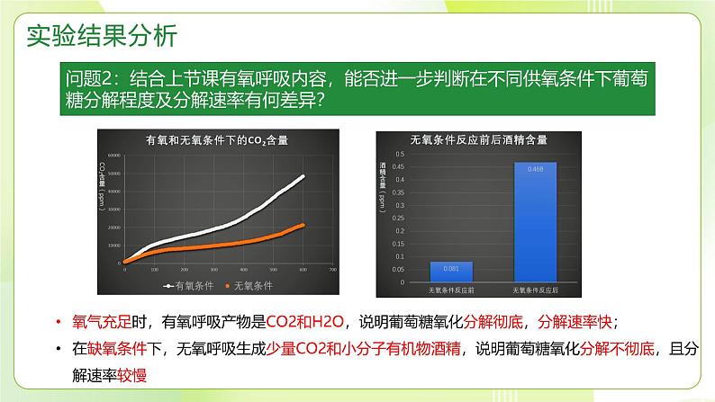 沪科技版(2020)高中生物 必修一 4.3 细胞通过分解有机分子获取能量（第2课时） 课件第5页