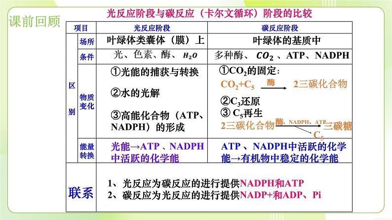 沪科技版(2020)高中生物 必修一 4.4 叶绿体将光能转换并储存在糖分子中 课件02