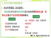 沪科技版(2020)高中生物 必修一 4.4 叶绿体将光能转换并储存在糖分子中 课件
