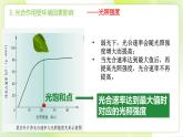 沪科技版(2020)高中生物 必修一 4.4 叶绿体将光能转换并储存在糖分子中 课件