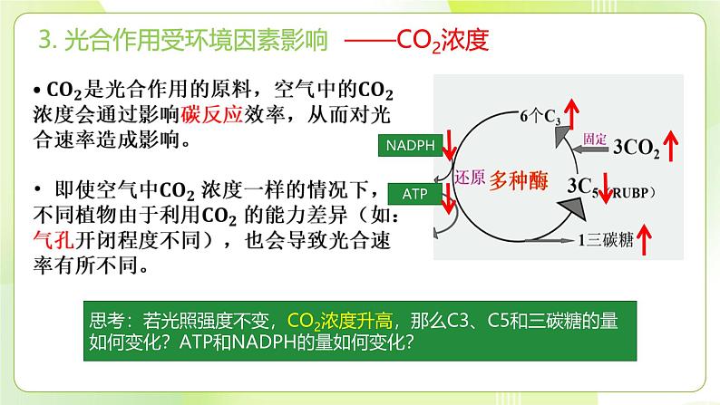 沪科技版(2020)高中生物 必修一 4.4 叶绿体将光能转换并储存在糖分子中 课件07