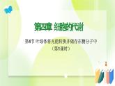 沪科技版(2020)高中生物 必修一 4.4 叶绿体将光能转换并储存在糖分子中（第1课时） 课件