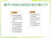 沪科技版(2020)高中生物 必修一 4.4 叶绿体将光能转换并储存在糖分子中（第1课时） 课件