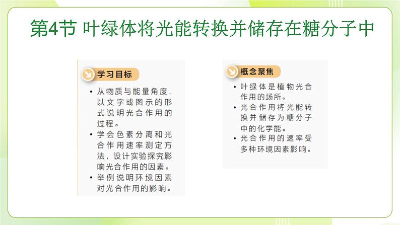 沪科技版(2020)高中生物 必修一 4.4 叶绿体将光能转换并储存在糖分子中（第1课时） 课件02