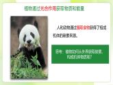 沪科技版(2020)高中生物 必修一 4.4 叶绿体将光能转换并储存在糖分子中（第1课时） 课件