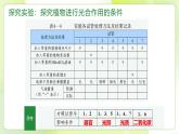 沪科技版(2020)高中生物 必修一 4.4 叶绿体将光能转换并储存在糖分子中（第1课时） 课件
