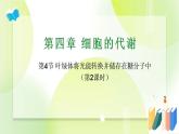 沪科技版(2020)高中生物 必修一 4.4 叶绿体将光能转换并储存在糖分子中（第2课时） 课件