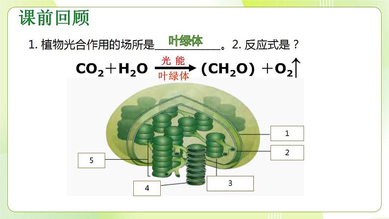 沪科技版(2020)高中生物 必修一 4.4 叶绿体将光能转换并储存在糖分子中（第2课时） 课件第2页