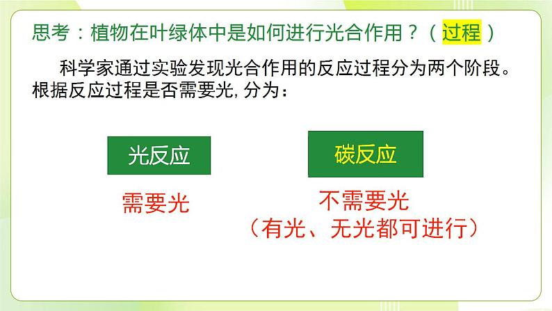 沪科技版(2020)高中生物 必修一 4.4 叶绿体将光能转换并储存在糖分子中（第2课时） 课件第3页