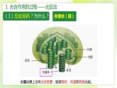 沪科技版(2020)高中生物 必修一 4.4 叶绿体将光能转换并储存在糖分子中（第2课时） 课件