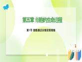 沪科技版(2020)高中生物 必修一 5.1 细胞通过分裂实现增殖 课件