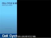 沪科技版(2020)高中生物 必修一 5.1 细胞通过分裂实现增殖 课件