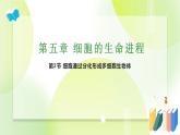 沪科技版(2020)高中生物 必修一 5.2 细胞通过分化形成多细胞生物体 课件