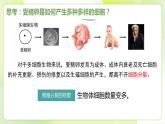 沪科技版(2020)高中生物 必修一 5.2 细胞通过分化形成多细胞生物体 课件