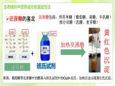 沪科技版(2020)高中生物 必修一 探究实验2-1检测生物组织中的还原糖、脂肪和蛋白质 课件