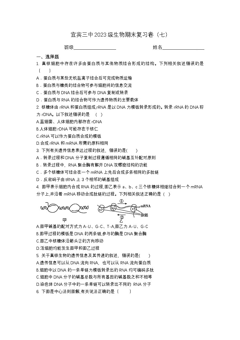 四川省宜宾市三中教育集团2023-2024学年高一下学期生物期末复习卷7第1页