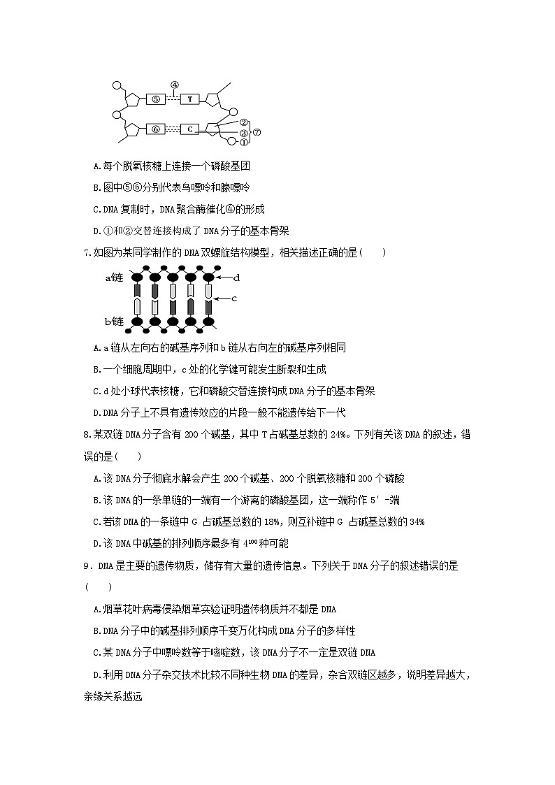 四川省宜宾市三中教育集团2023-2024学年高一下学期生物期末复习卷6第2页