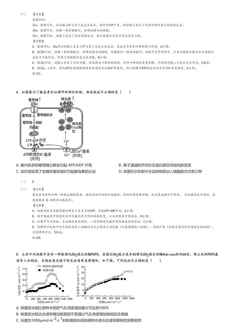 [生物]2024～2025学年北京高三上学期开学考试生物试卷(部分学校7月)原题版+解析版02