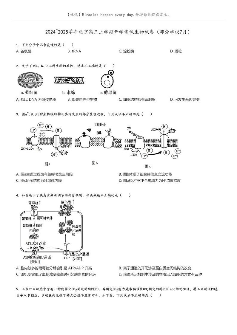 [生物]2024～2025学年北京高三上学期开学考试生物试卷(部分学校7月)原题版+解析版01