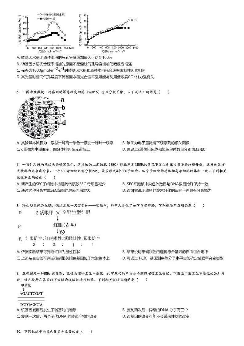 [生物]2024～2025学年北京高三上学期开学考试生物试卷(部分学校7月)原题版+解析版02