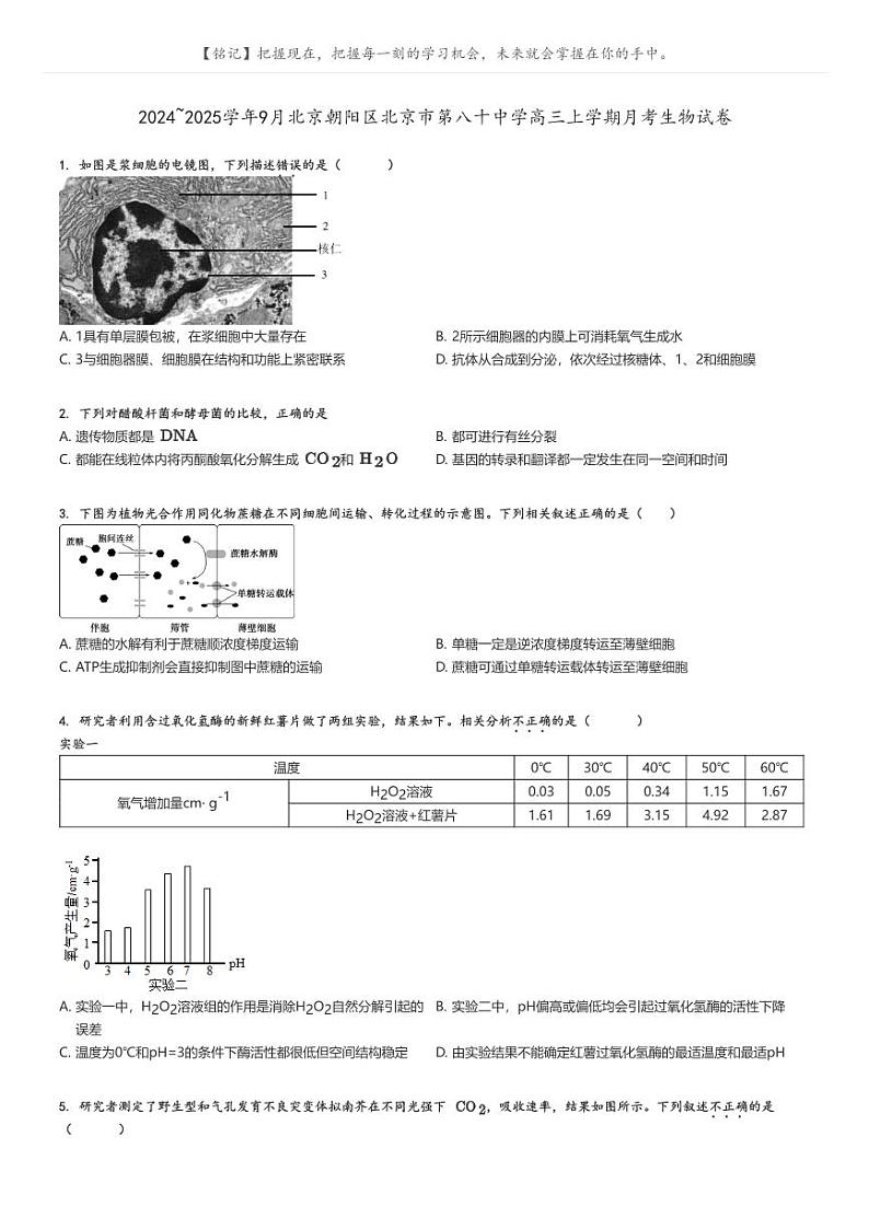 [生物]2024～2025学年9月北京朝阳区北京市第八十中学高三上学期月考生物试卷原题版第1页