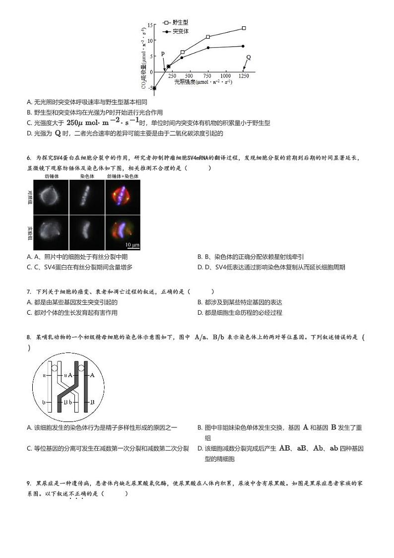[生物]2024～2025学年9月北京朝阳区北京市第八十中学高三上学期月考生物试卷原题版第2页