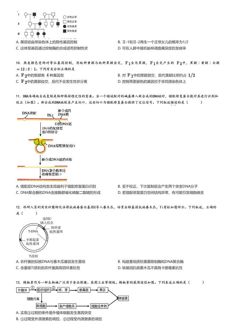 [生物]2024～2025学年9月北京朝阳区北京市第八十中学高三上学期月考生物试卷原题版第3页