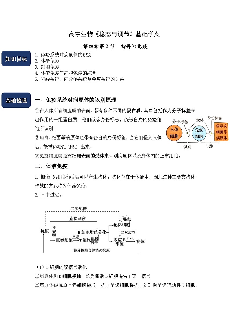 4.2特异性免疫学案 高中生物人教版选择性必修1第1页