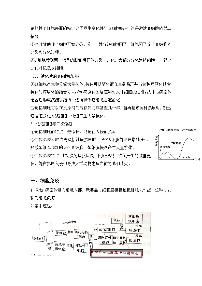 4.2特异性免疫学案 高中生物人教版选择性必修1第2页