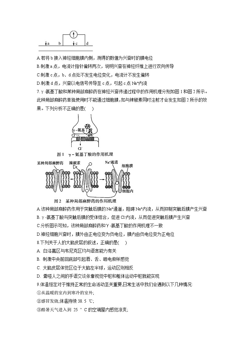 2.2神经系统的结构与功能同步课时作业 高中生物浙科版必修302