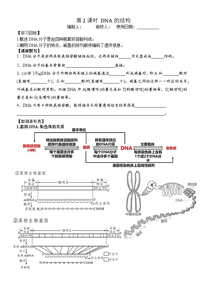 高中生物一轮复习导学案DNA的结构第1页