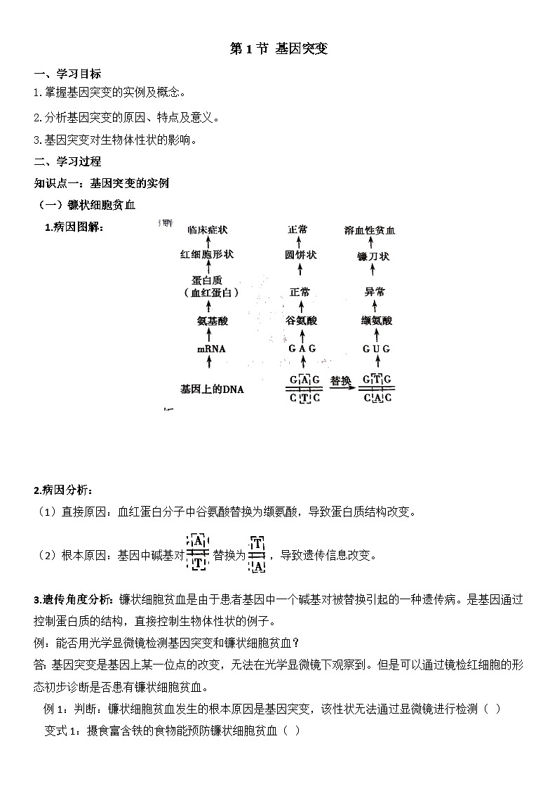 高中生物一轮复习学案  基因突变第1页