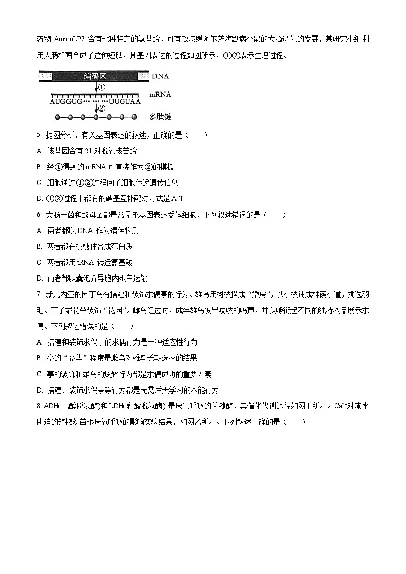 Z20名校联盟（浙江省名校新高考研究联盟）2024-2025学年高三上学期第一次联考生物试题（Word版附解析）02