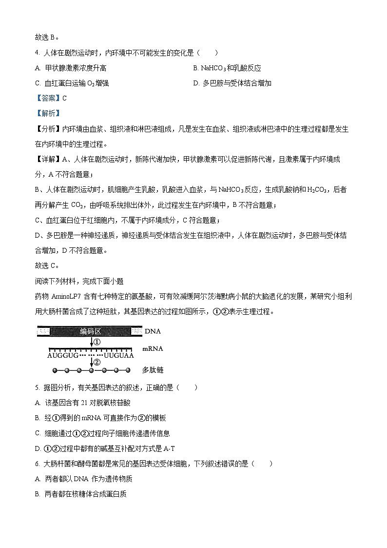 Z20名校联盟（浙江省名校新高考研究联盟）2024-2025学年高三上学期第一次联考生物试题（Word版附解析）03