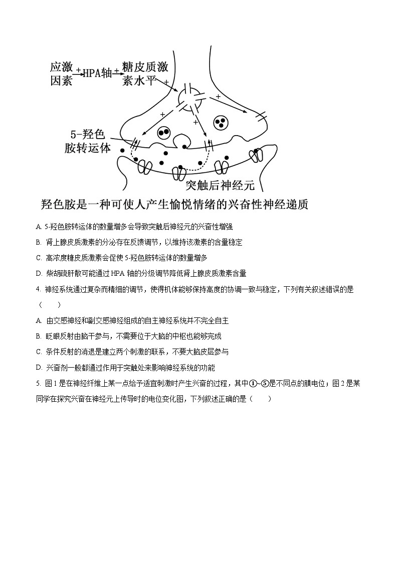 山东名校考试联盟2023-2024学年高二上学期期中检测生物试题（Word版附解析）02