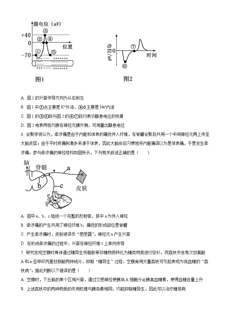 山东名校考试联盟2023-2024学年高二上学期期中检测生物试题（Word版附解析）03