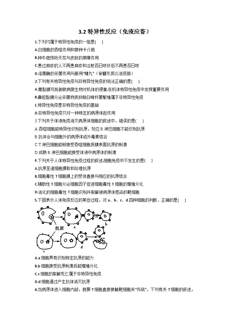 3.2特异性反应  同步课时作业  高中生物浙科版必修301