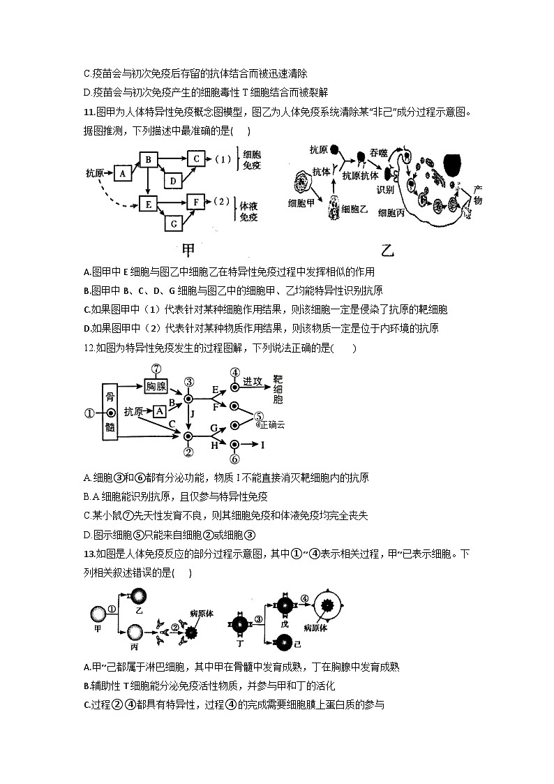 3.2特异性反应  同步课时作业  高中生物浙科版必修303