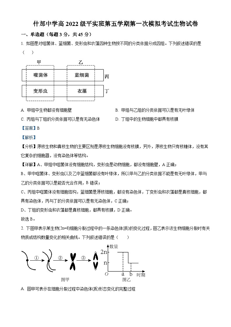 2025届四川省德阳市什邡中学高三一模生物试题 Word版含解析第1页