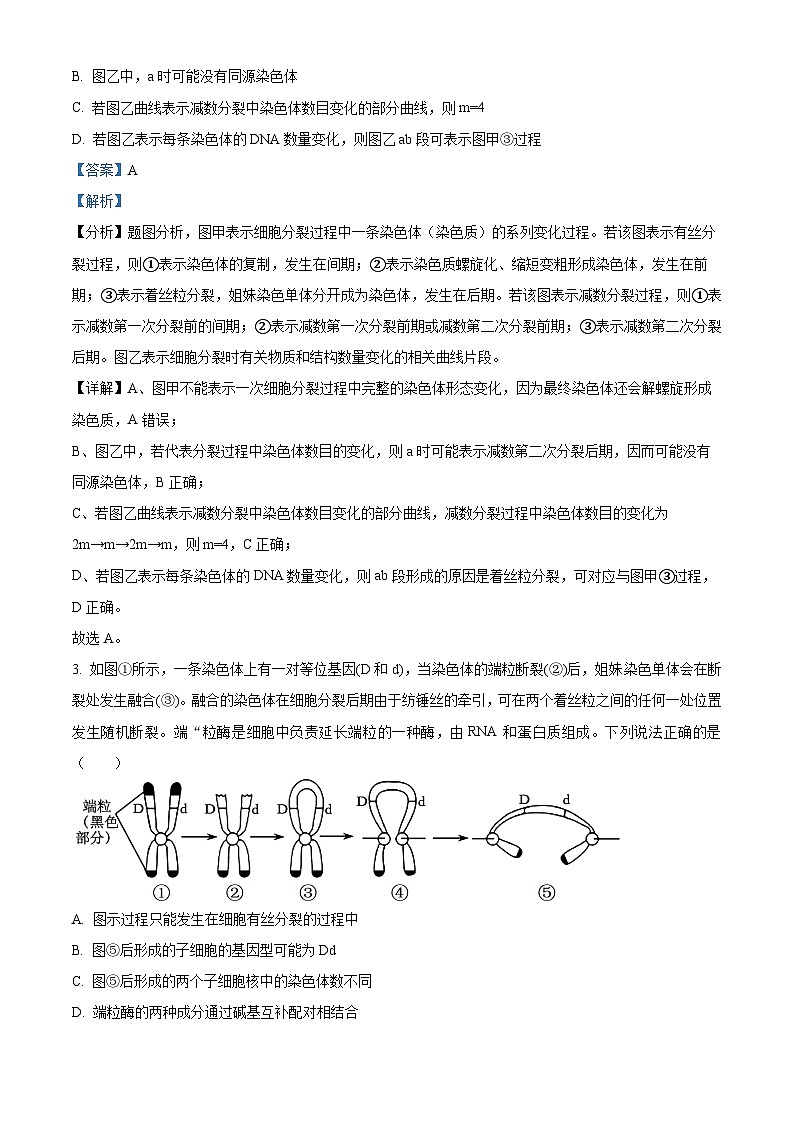 2025届四川省德阳市什邡中学高三一模生物试题 Word版含解析第2页