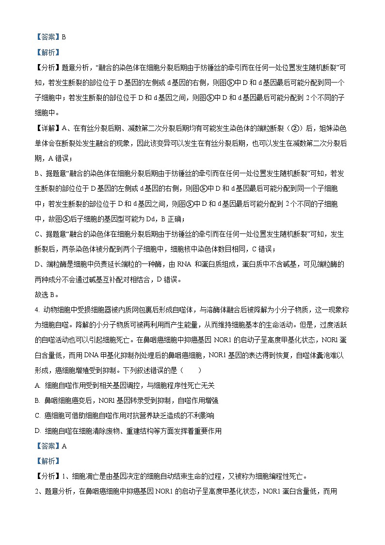 2025届四川省德阳市什邡中学高三一模生物试题 Word版含解析第3页