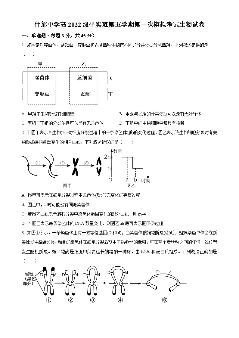 2025届四川省德阳市什邡中学高三一模生物试题 Word版无答案第1页