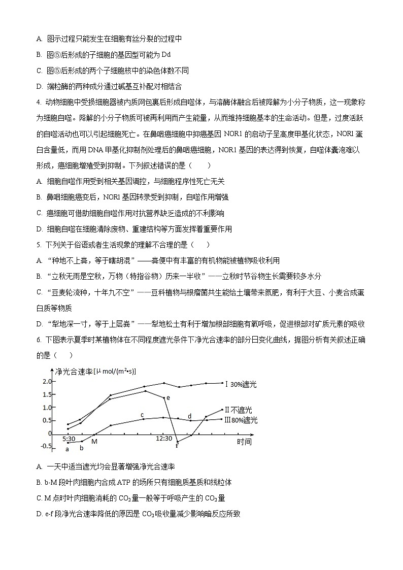 2025届四川省德阳市什邡中学高三一模生物试题 Word版无答案第2页