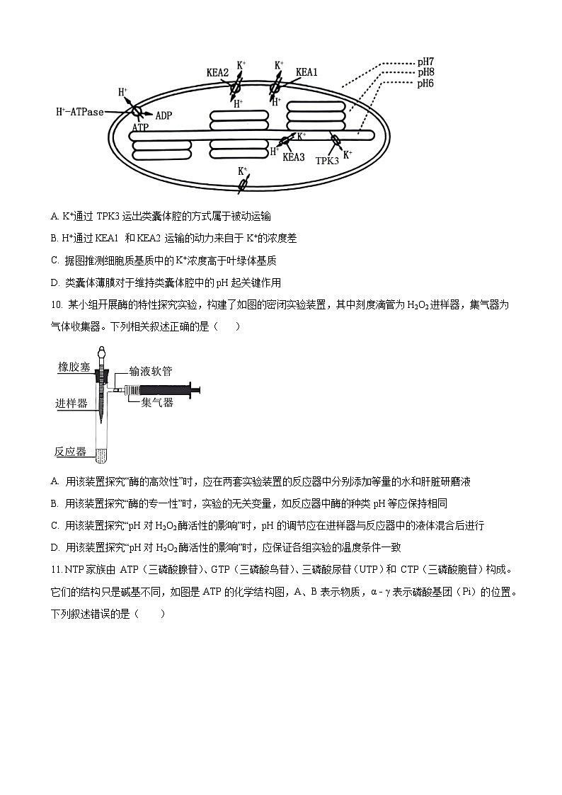 四川省内江市威远中学2024-2025学年高三上学期9月月考生物试题（Word版附解析）03